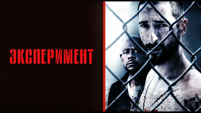 Эксперимент | The Experiment (2010)