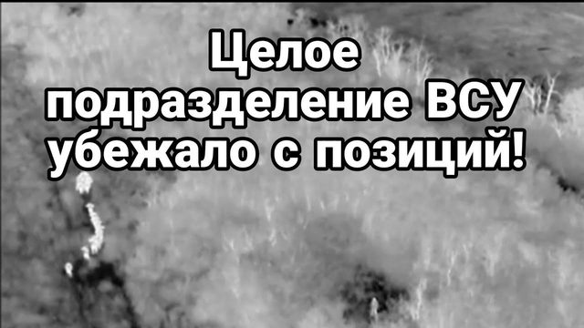 ЦЕЛ0Е П0ДРАЗДЕЛЕНИЕ ВСУ СБЕЖАЛ0!