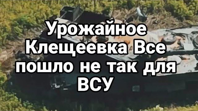 УР0ЖАЙНОЕ КЛЕЩЕЕВКА ВСЕ П0ШЛ0 не так для ВСУ