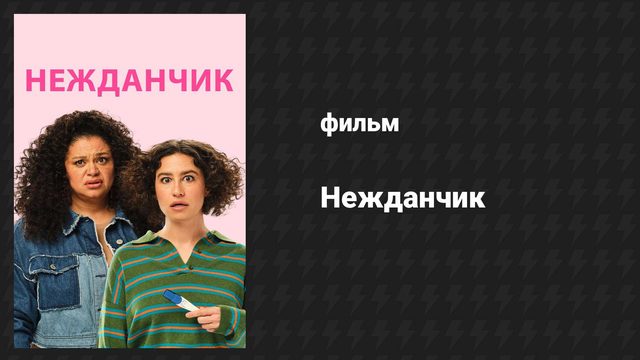 Нежданчик (фильм, 2024)