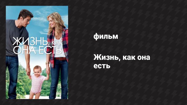 Жизнь, как она есть (фильм, 2010)