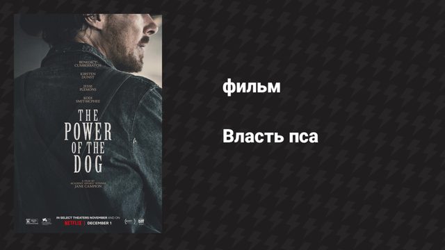 Власть пса (фильм, 2021)