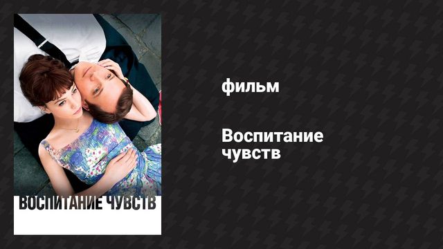 Воспитание чувств (фильм, 2008)