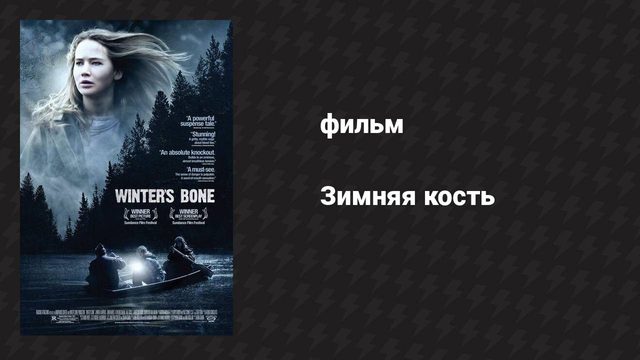 Зимняя кость (фильм, 2010)