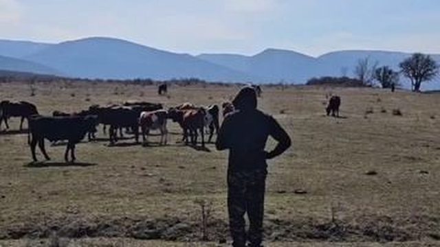Крым Элитные турники у подножья гор