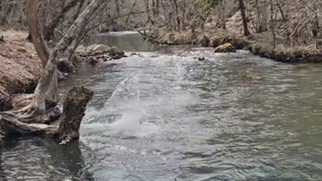 Крым Весна на Черной реке