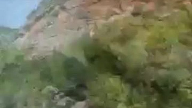 Крым Вошебная Россия
