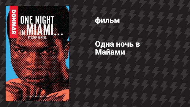 Одна ночь в Майами (фильм, 2020)