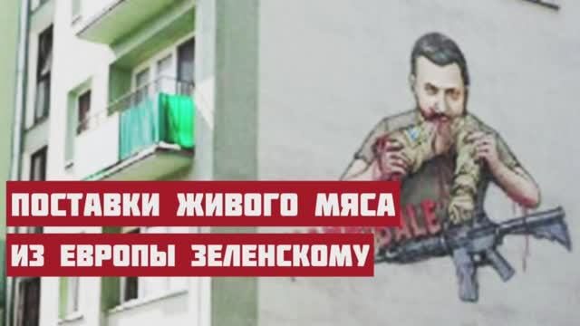 Европа начала поставки живого мяса режиму Зеленского. Зачем на самом деле украли Кирилла Молчанова