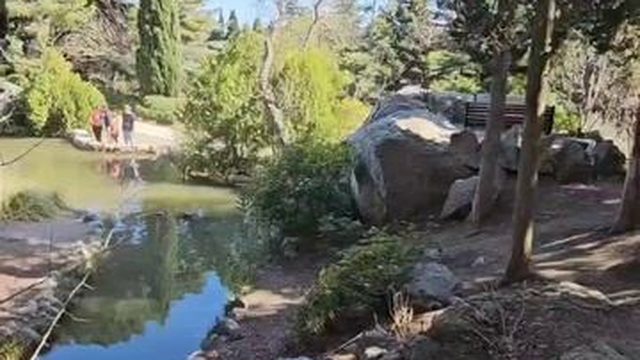 Крым Тропинками парка Форос