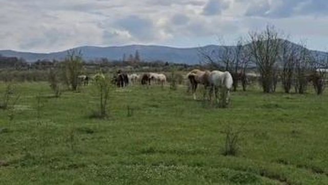 Крым на притоке Черной Реки