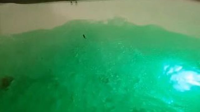 Вечерняя аквадискотека
