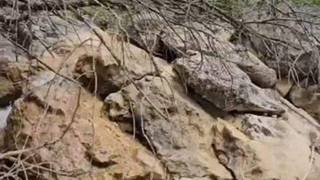 Крым Выходной с детьми
