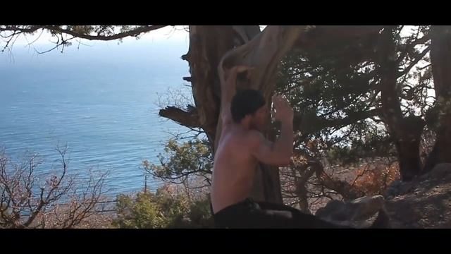 Лучшие типы приседаний