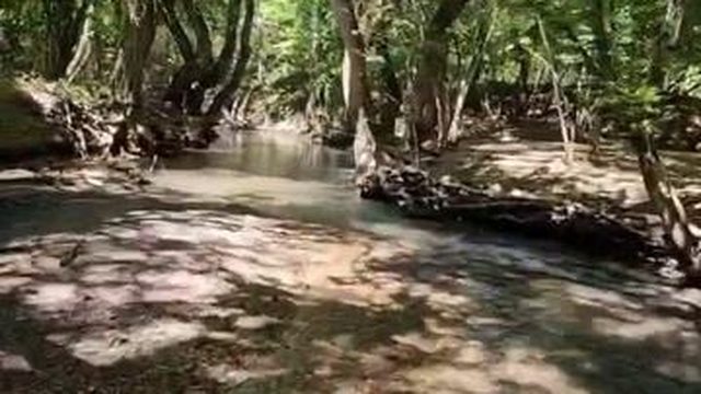 Крым Бегущий по реке Красивейшее место река Черная