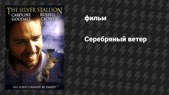 Серебряный ветер (фильм, 1993)