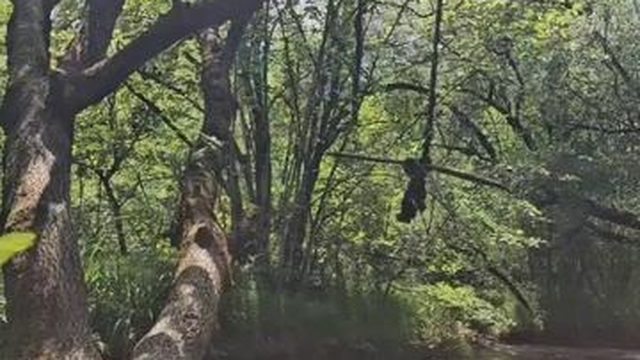 Крым жара 35 Горная река