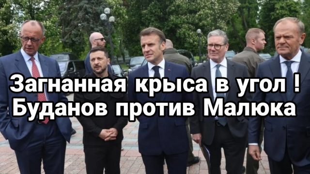 Зеленский крыса ЗАГНАННАЯ В УГОЛ И КОАЛИЦИЯ ОПУЩЕННЫХ