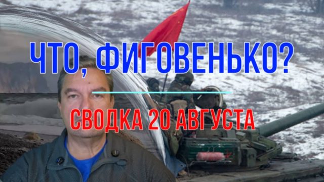 Что, фиговенько? Сводка 20 августа