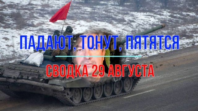 Падают, тонут, пятятся. Сводка 29 августа