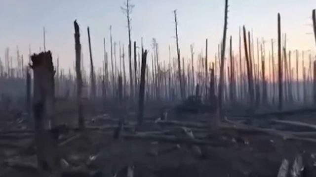 Фронтовая сводка 1 сентября 2025