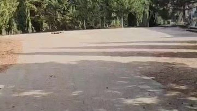 Крым Здесь живет Богатырская Сила