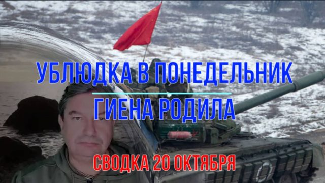 Ублюдка в понедельник гиена родила, сводка 20 октября