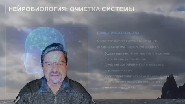 Мозг - это оружие. Оружие надо чистить