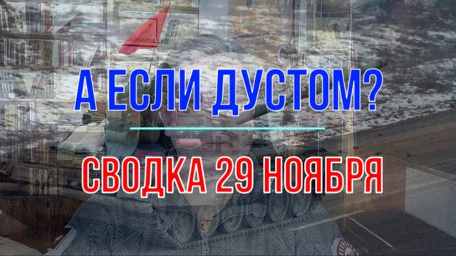 Предлагаю дустом, сводка 29 ноября