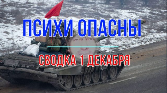 Психи опасны, сводка 1 декабря