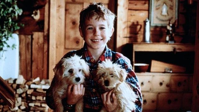 Рождество с Вилли Гавом (1994) / Weihnachten mit Willy Wuff / Christmas With Willy Woof