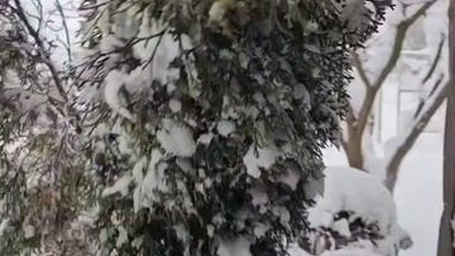 Крым РЕКОРДНЫЙ СНЕГОПАД УЖЕ 40 СМ А ЗНАЧИТ КРЫМ БУДЕТ С ВОДОЙ