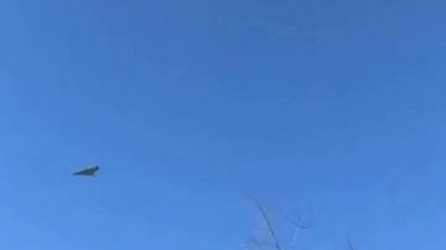 ГЕРАНЕВОЕ УТРО 1 ЯНВАРЯ В ОДЕССЕ