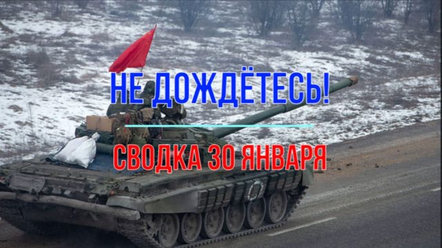 Не дождётесь! Сводка 30 января