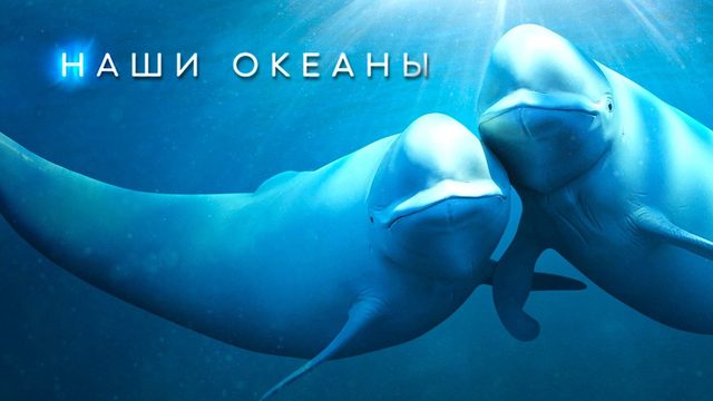 Наши океаны (2024) — 1 сезон 5 серия  | Южный Океан | Our Oceans (Дубляж)