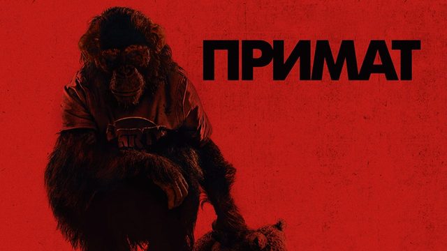 Примат (2025) / Primate