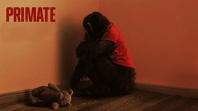 Примат | Primate (2025)