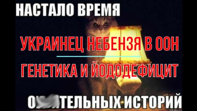Украинец Небензя в ООН. Генетика и йододефицит