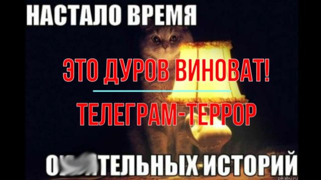 Это Дуров виноват!..
