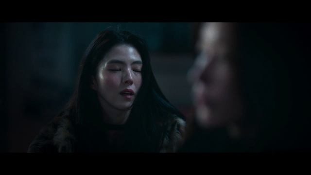 Проект Y (фильм, 2025)