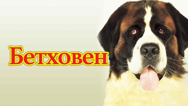 Бетховен | Beethoven (1992)