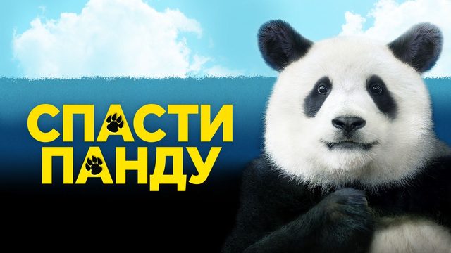 Спасти панду (2020) / Miseuteo Ju: sarajin VIP