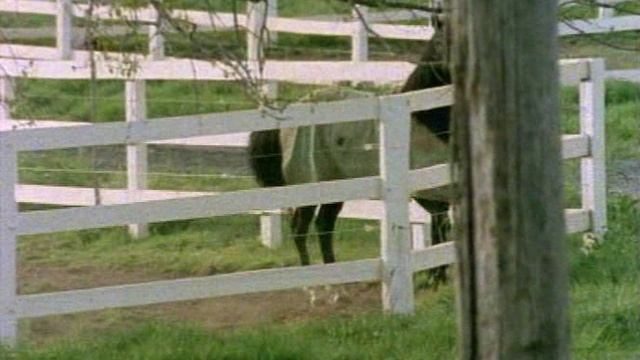 Возвращение в Эдем 2 сезон 11 серия «Игра окончена» (сериал, 1986)