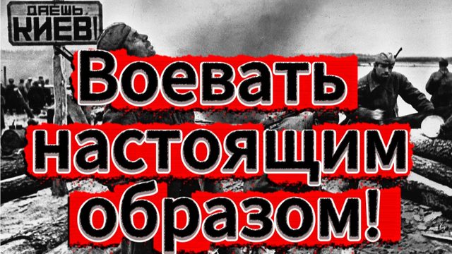 Воевать настоящим образом!..