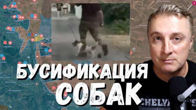 Украинский фронт - бусификация собак Мясо-полк Скала. Сказки Венского леса от ВСУ. 26.06.26