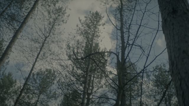 Незнакомец (Незнакомка) 1 серия (сериал, 2020)