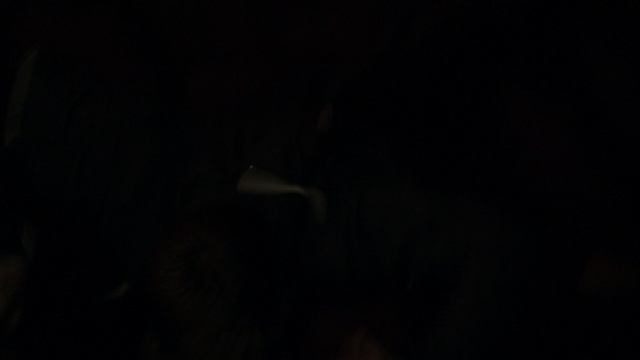 Крик 2 сезон 12 серия «Когда звонит незнакомец» (сериал, 2016)