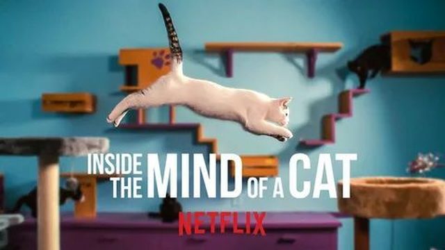 Внутри разума кошки (2022) / Inside the Mind of a Cat