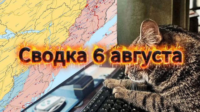 Сводка 6 августа
