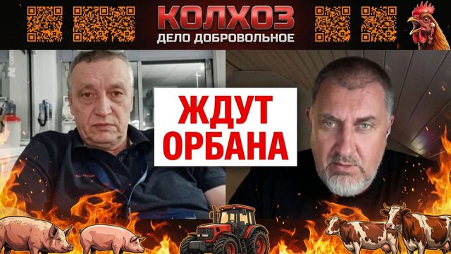 «Молодёжь начинает прозревать»Почему венгры ждут возвращения Орбана
